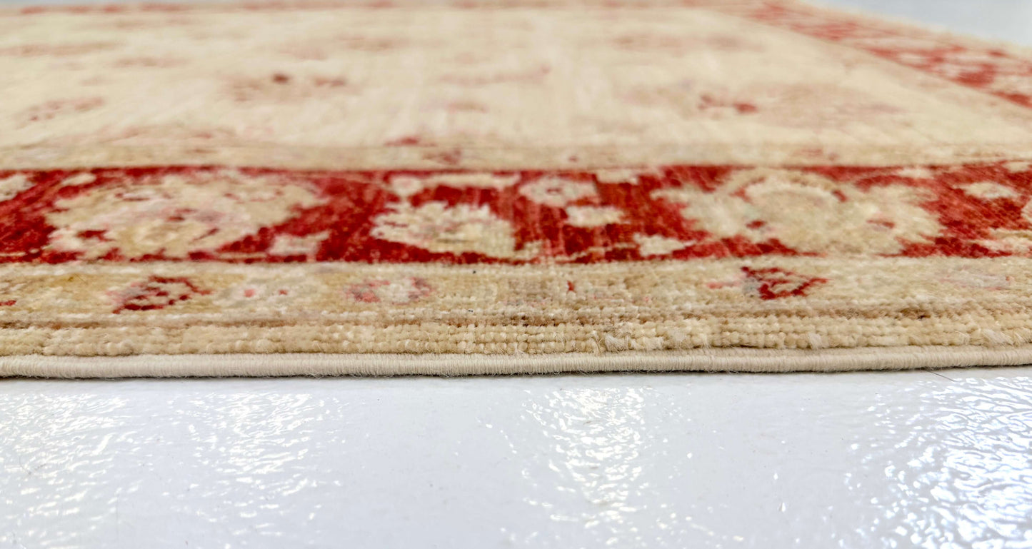 Chobi Farahan (3'11"x6'01') beige/red