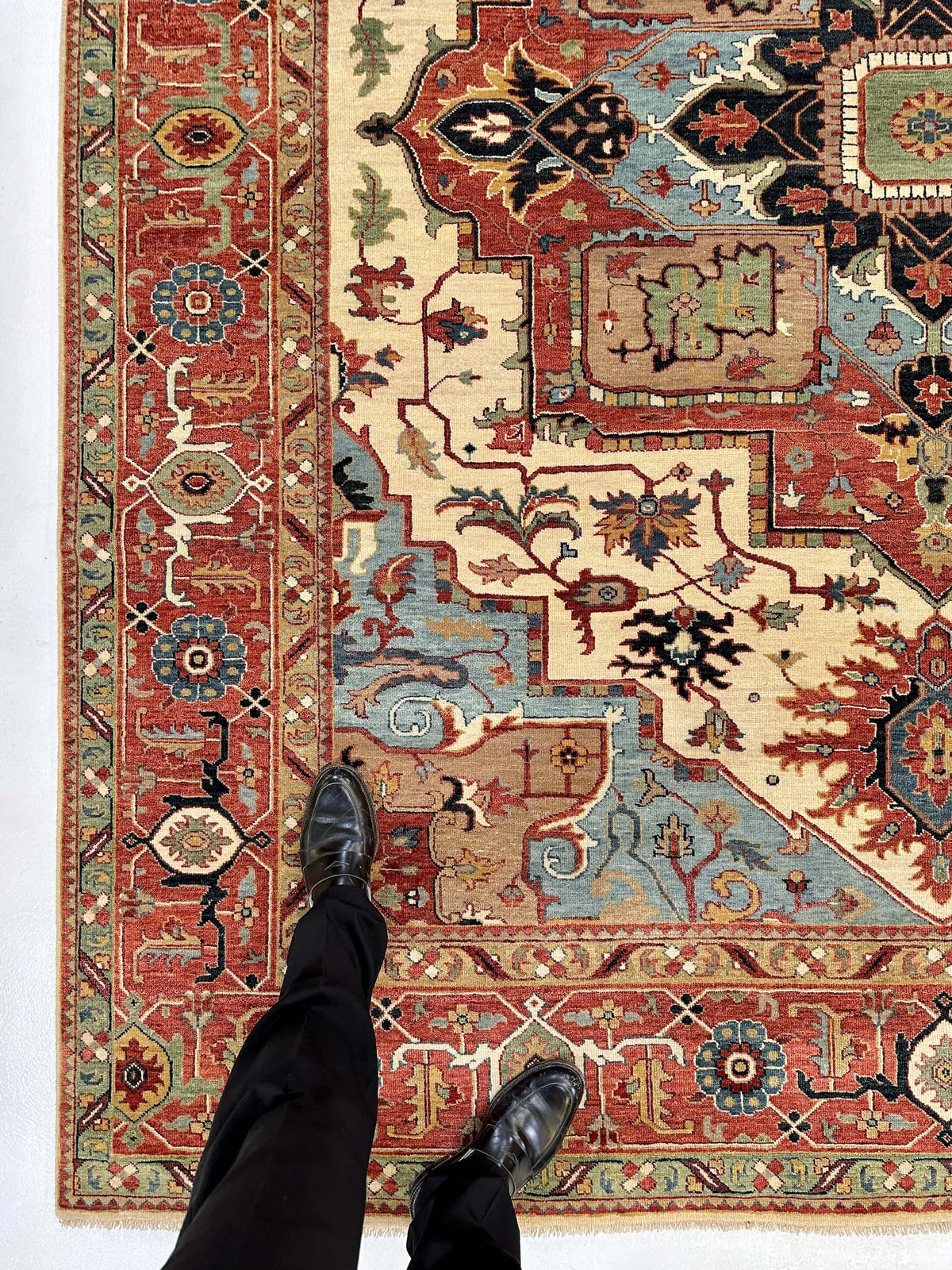 Indo-Persian - Serapi/Heriz Revival (8'x10') ivory/lt.blue/rust