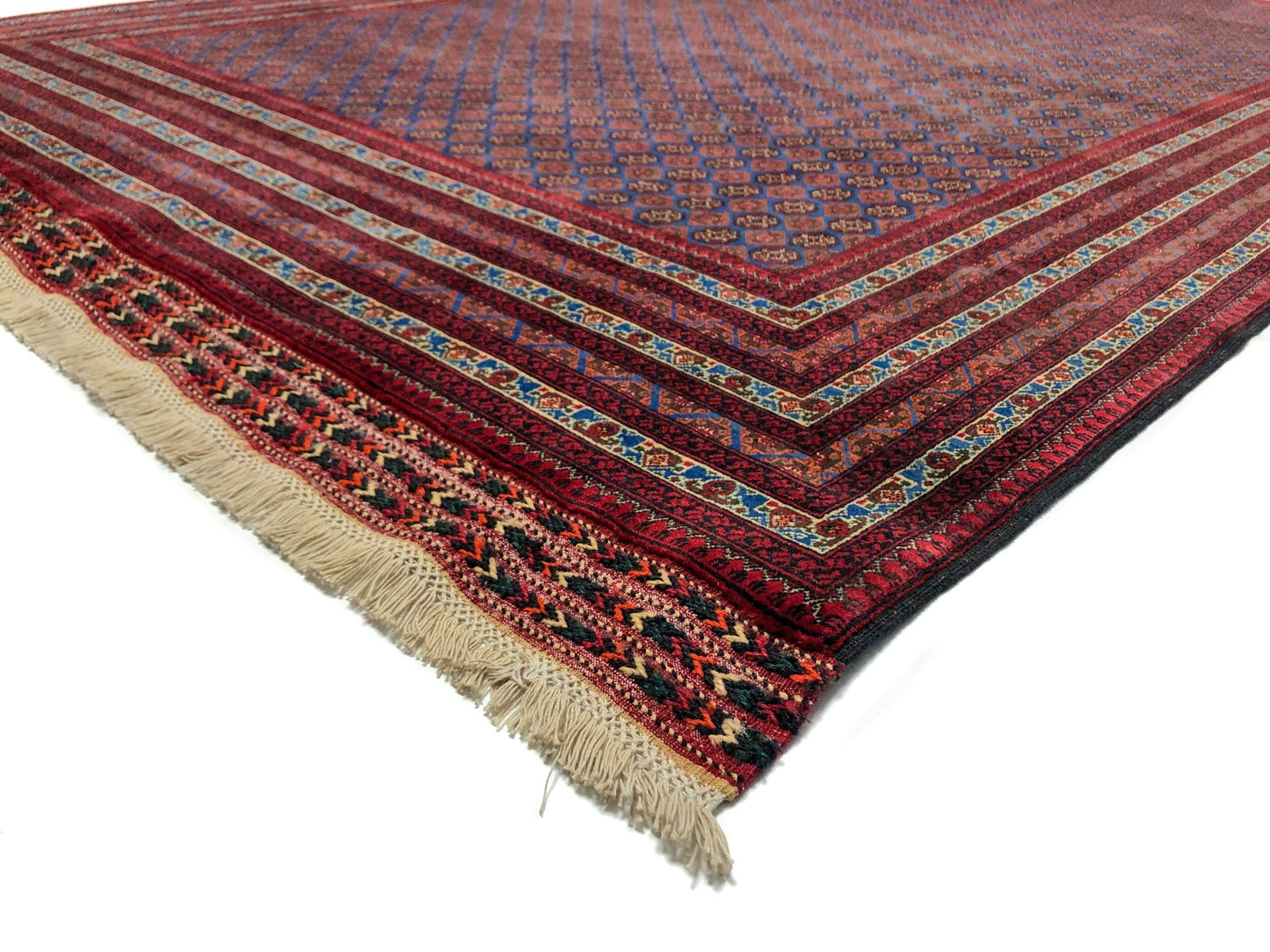 Balouch-Bokhara (6'06"x10'05") blue/dk.red