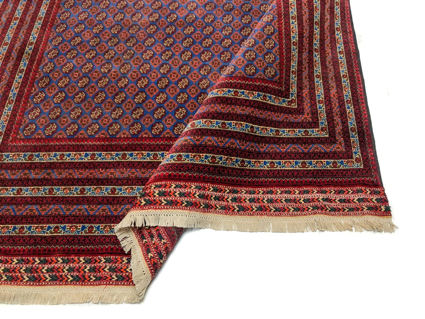 Balouch-Bokhara (6'06"x10'05") blue/dk.red