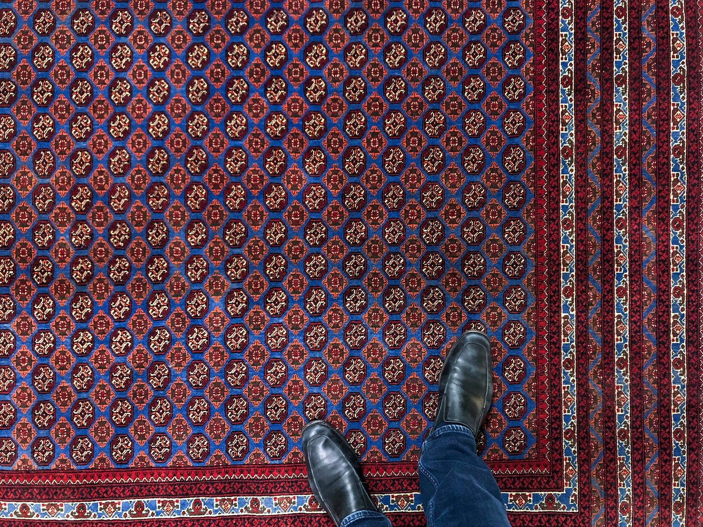 Balouch-Bokhara (6'06"x10'05") blue/dk.red