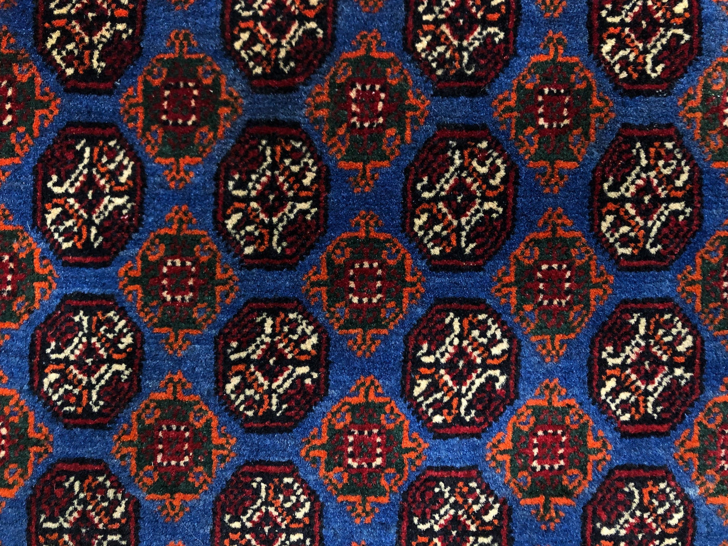 Balouch-Bokhara (6'06"x10'05") blue/dk.red