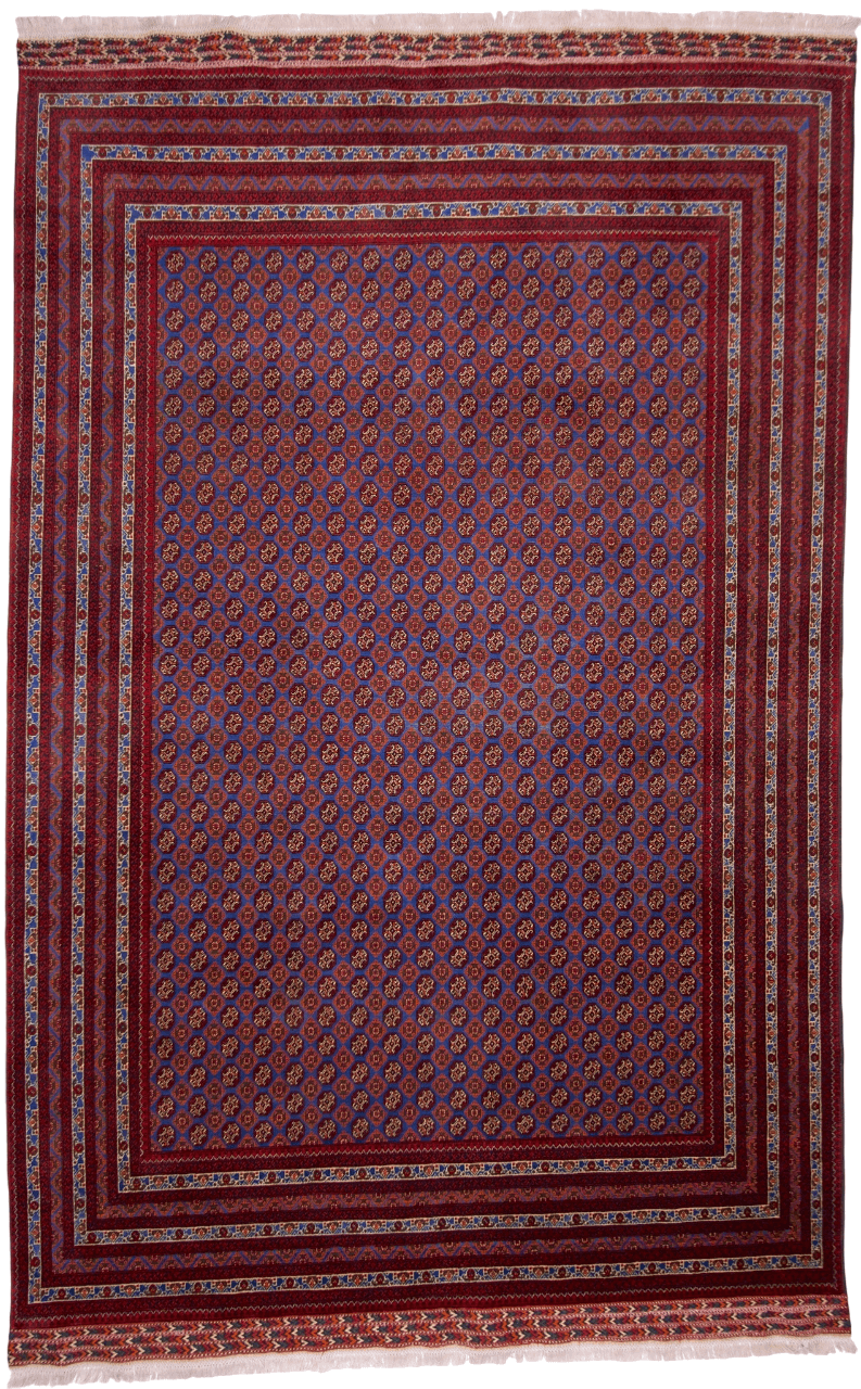 Balouch-Bokhara (6'06"x10'05") blue/dk.red