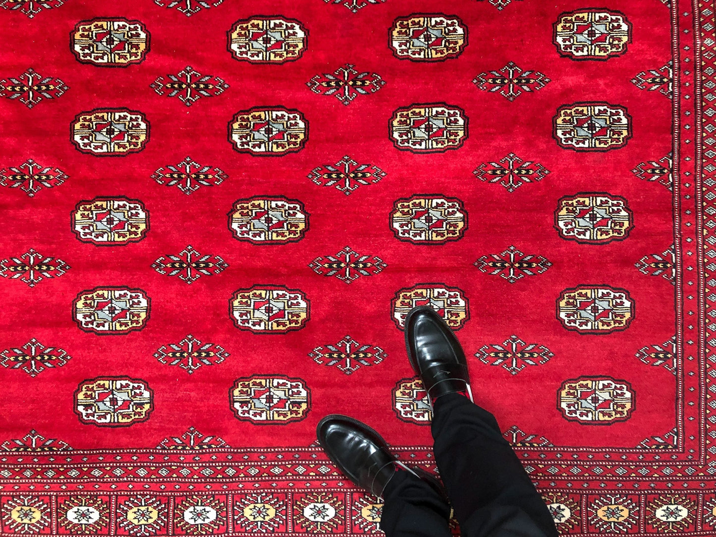 A person standing on the Bokhara (9x12) red area rug