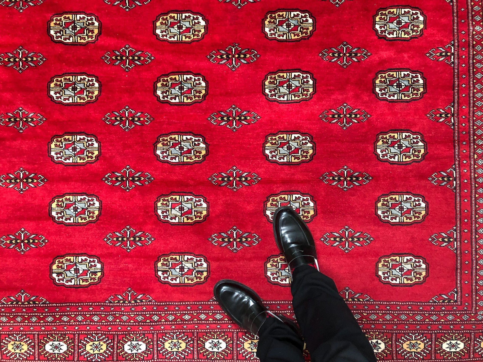 A person standing on the Bokhara (9x12) red area rug