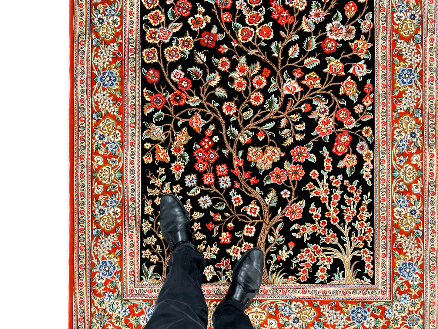Persian Qom w. silk Tree of Life (4'05"x6'06") black/red